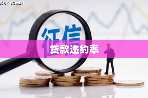 通城贷款违约率