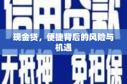 通城现金贷，便捷背后的风险与机遇