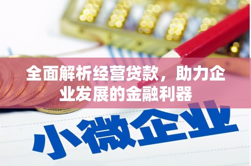 通城全面解析经营贷款，助力企业发展的金融利器