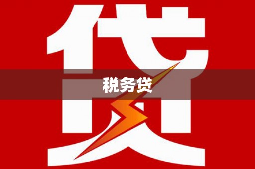 通城税务贷