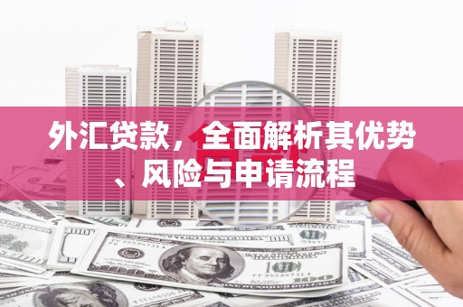 通城外汇贷款，全面解析其优势、风险与申请流程