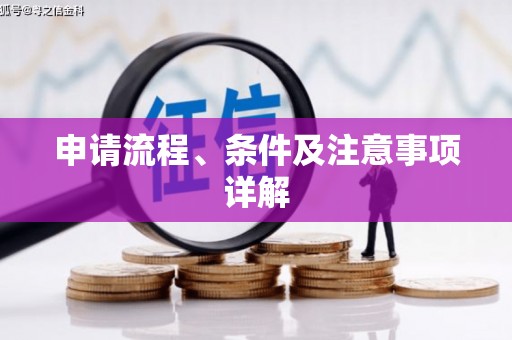 通城申请流程、条件及注意事项详解