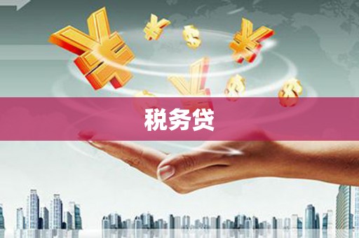通城税务贷