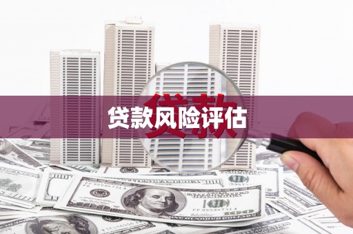 通城贷款风险评估