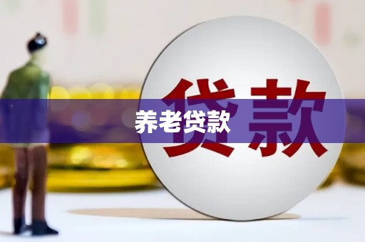 通城养老贷款