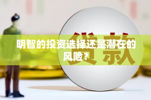 通城明智的投资选择还是潜在的风险？