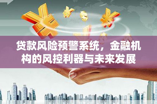 通城贷款风险预警系统，金融机构的风控利器与未来发展