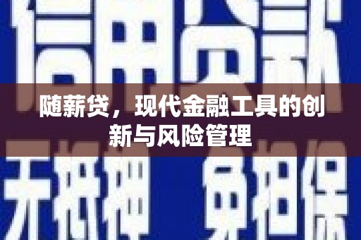 通城随薪贷，现代金融工具的创新与风险管理