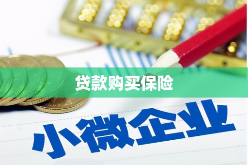 通城贷款购买保险