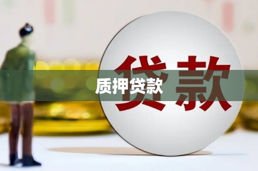 通城质押贷款