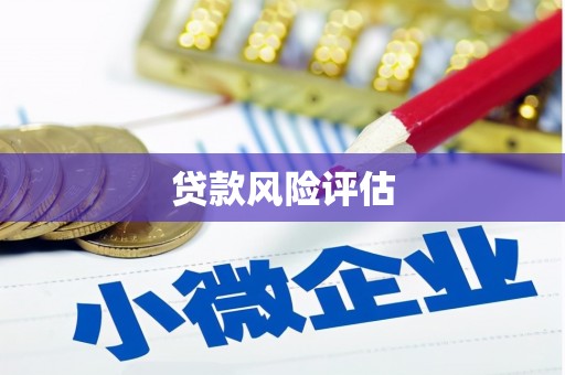 通城贷款风险评估