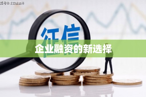 通城企业融资的新选择