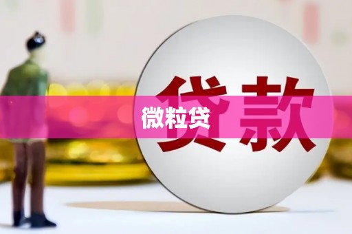 通城微粒贷