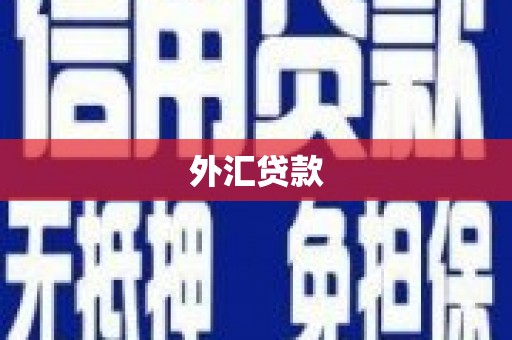 通城外汇贷款