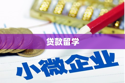 通城贷款留学