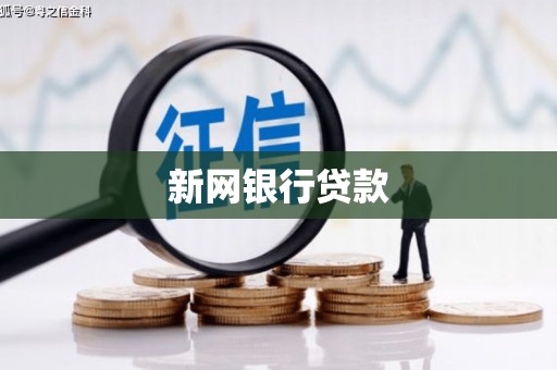 通城新网银行贷款