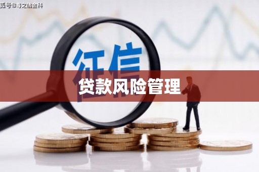 通城贷款风险管理