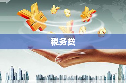 通城税务贷