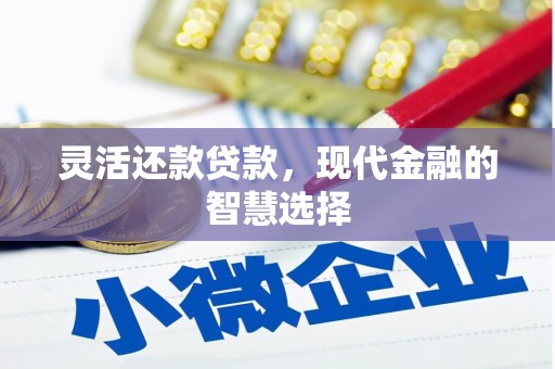 通城灵活还款贷款，现代金融的智慧选择