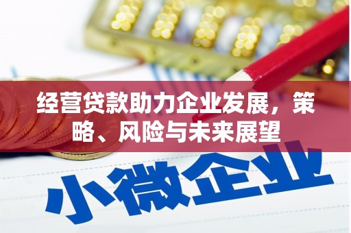 通城经营贷款助力企业发展，策略、风险与未来展望