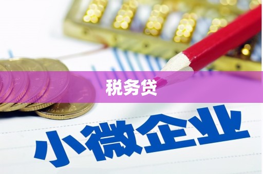 通城税务贷