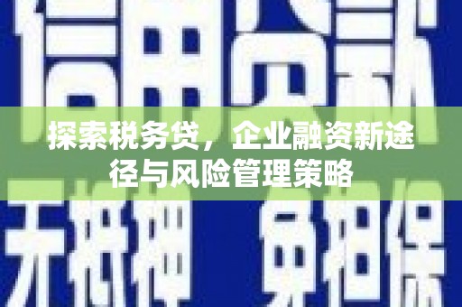 通城探索税务贷，企业融资新途径与风险管理策略