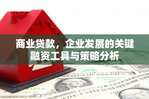 通城商业贷款，企业发展的关键融资工具与策略分析