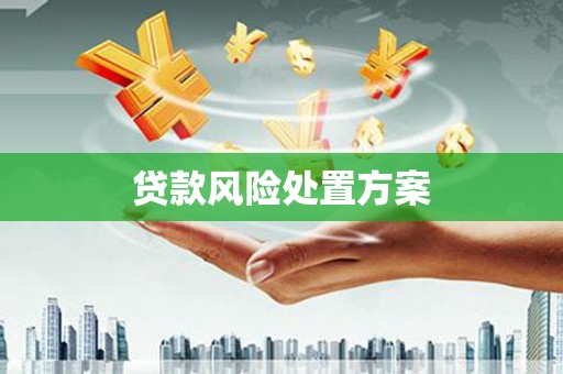 通城贷款风险处置方案