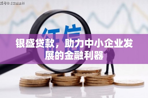 通城银盛贷款，助力中小企业发展的金融利器