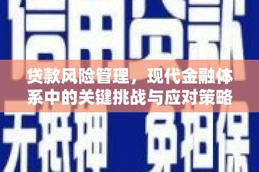 通城贷款风险管理，现代金融体系中的关键挑战与应对策略