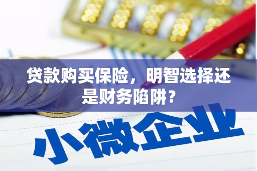 通城贷款购买保险，明智选择还是财务陷阱？