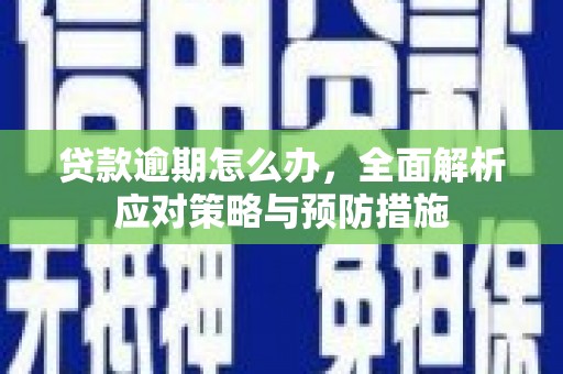 通城贷款逾期怎么办，全面解析应对策略与预防措施