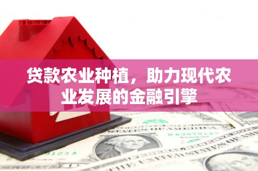 通城贷款农业种植，助力现代农业发展的金融引擎