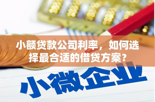 通城小额贷款公司利率，如何选择最合适的借贷方案？