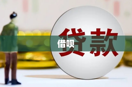 通城借呗