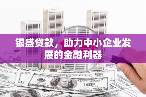 通城银盛贷款，助力中小企业发展的金融利器