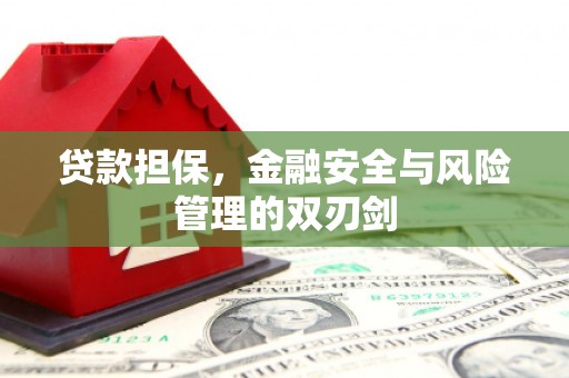 通城贷款担保，金融安全与风险管理的双刃剑