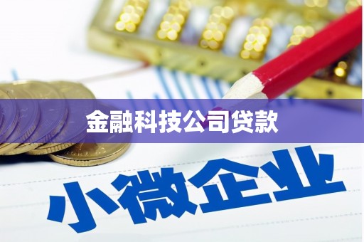 通城金融科技公司贷款