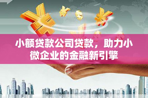 通城小额贷款公司贷款，助力小微企业的金融新引擎