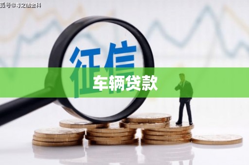 通城车辆贷款