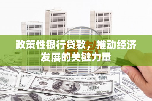 通城政策性银行贷款，推动经济发展的关键力量