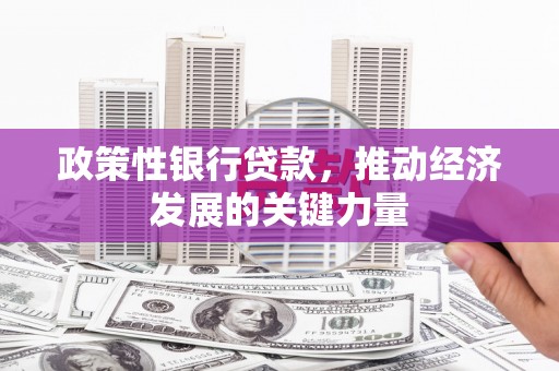 通城政策性银行贷款，推动经济发展的关键力量