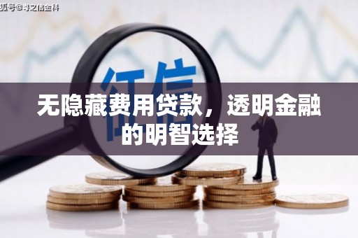 通城无隐藏费用贷款，透明金融的明智选择