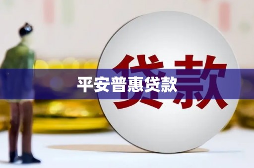 通城平安普惠贷款