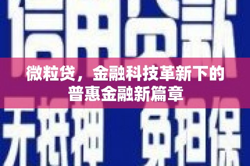 通城微粒贷，金融科技革新下的普惠金融新篇章