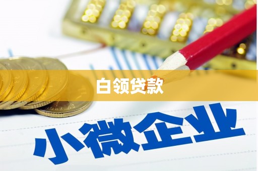 通城白领贷款