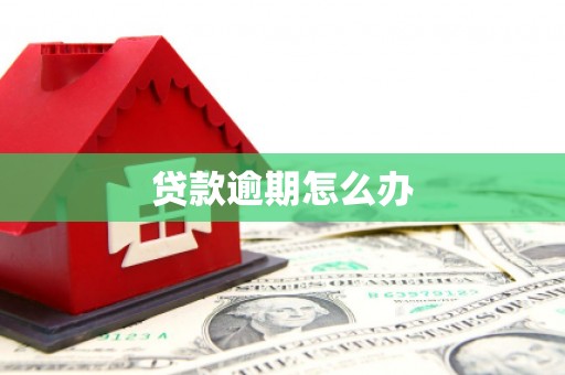 通城贷款逾期怎么办