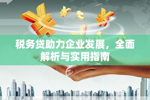 通城税务贷助力企业发展，全面解析与实用指南
