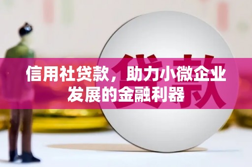 通城信用社贷款，助力小微企业发展的金融利器