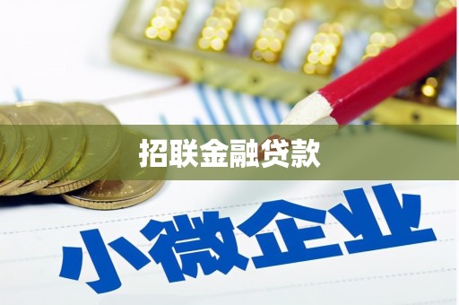 通城招联金融贷款